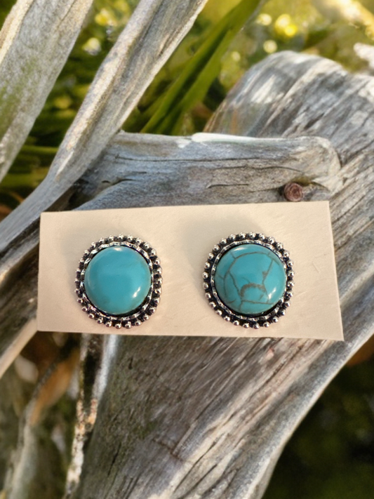 Fun Faux Turquoise Earrings - Round